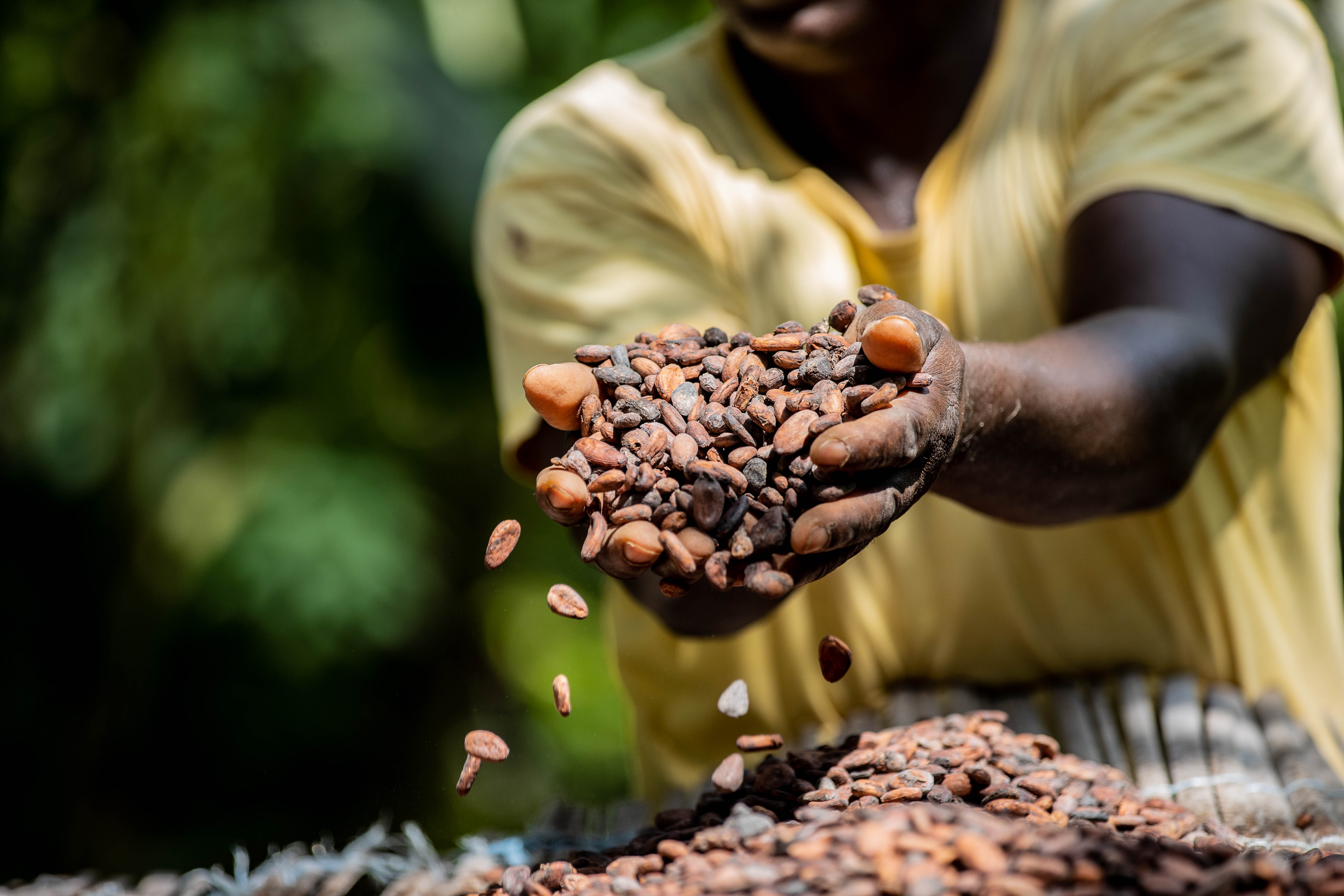 EC FFPA - The Future is Fair