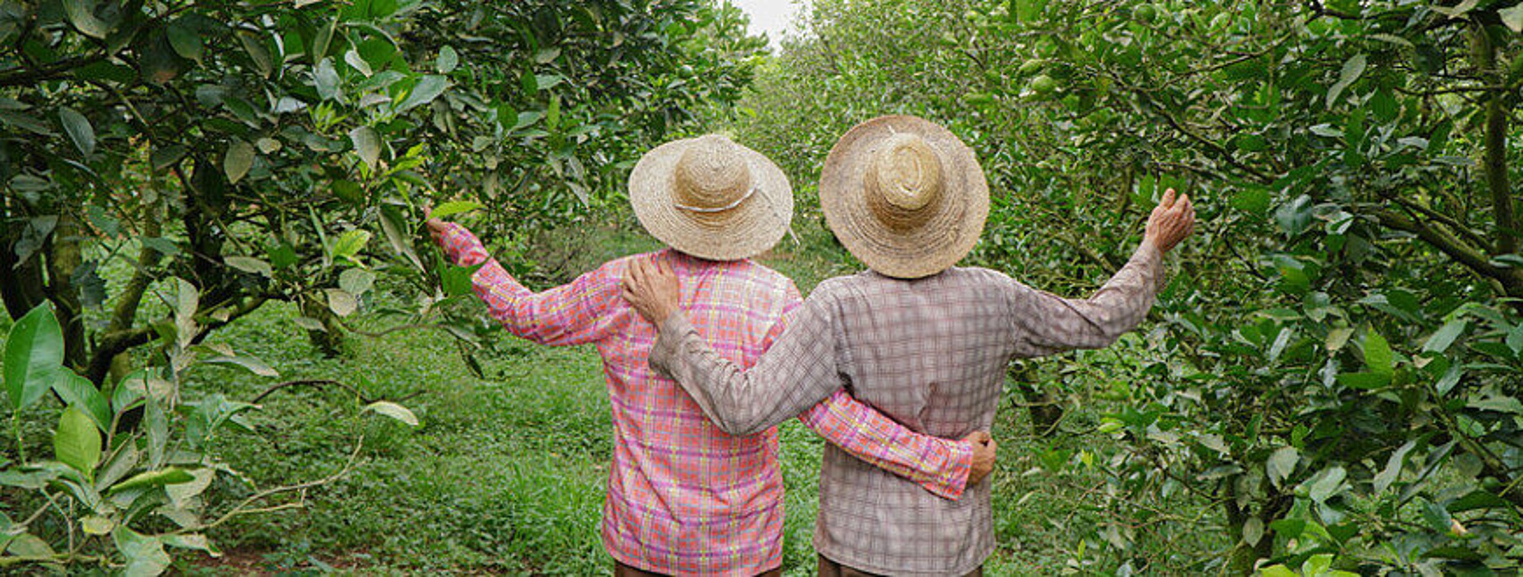 Support Fund “Joint implementation of HREDD in fair trade supply chains”