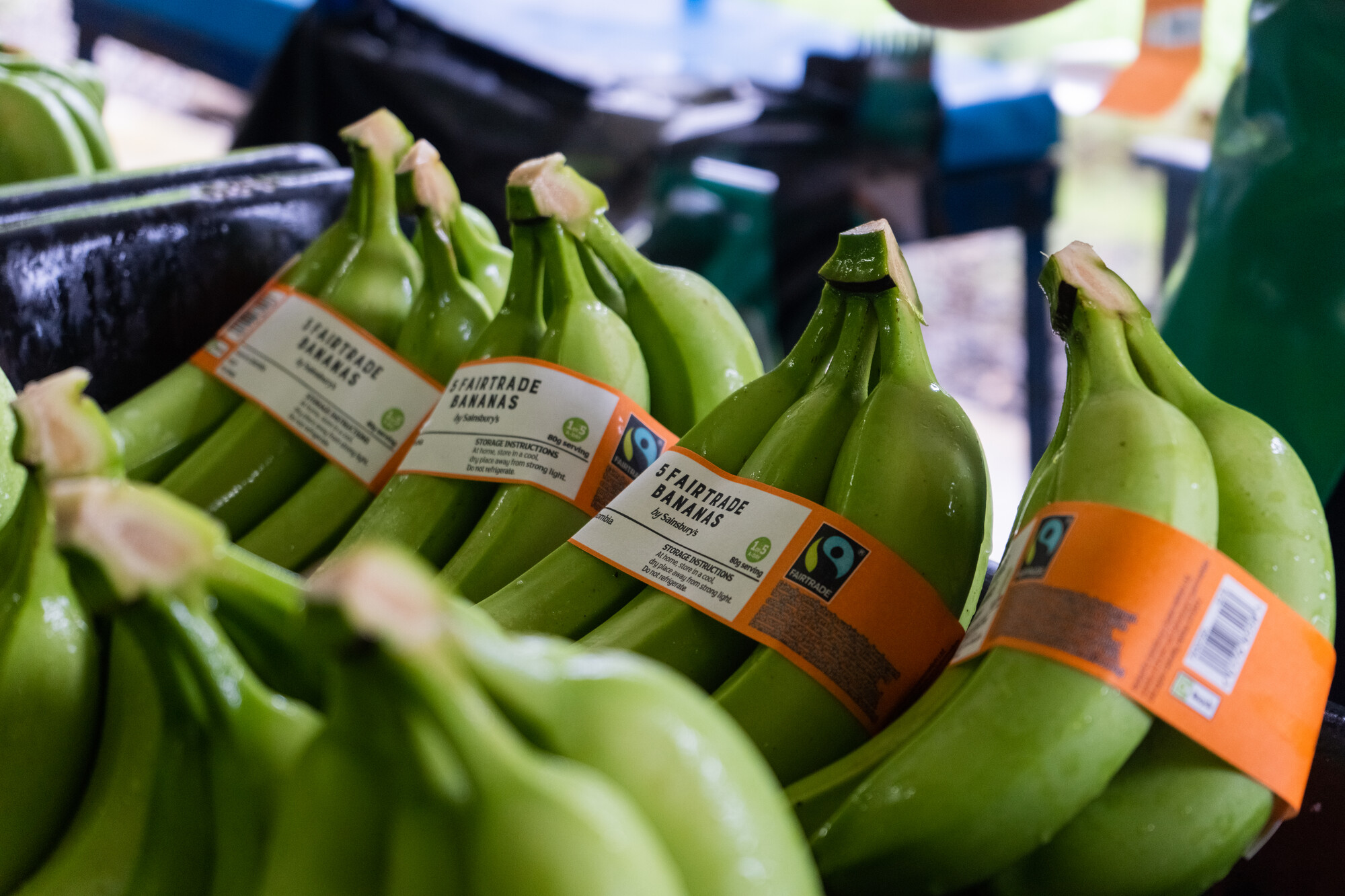 Measures & Recommendations to reduce the use and risk of Mancozeb in conventional Fairtrade Banana production 