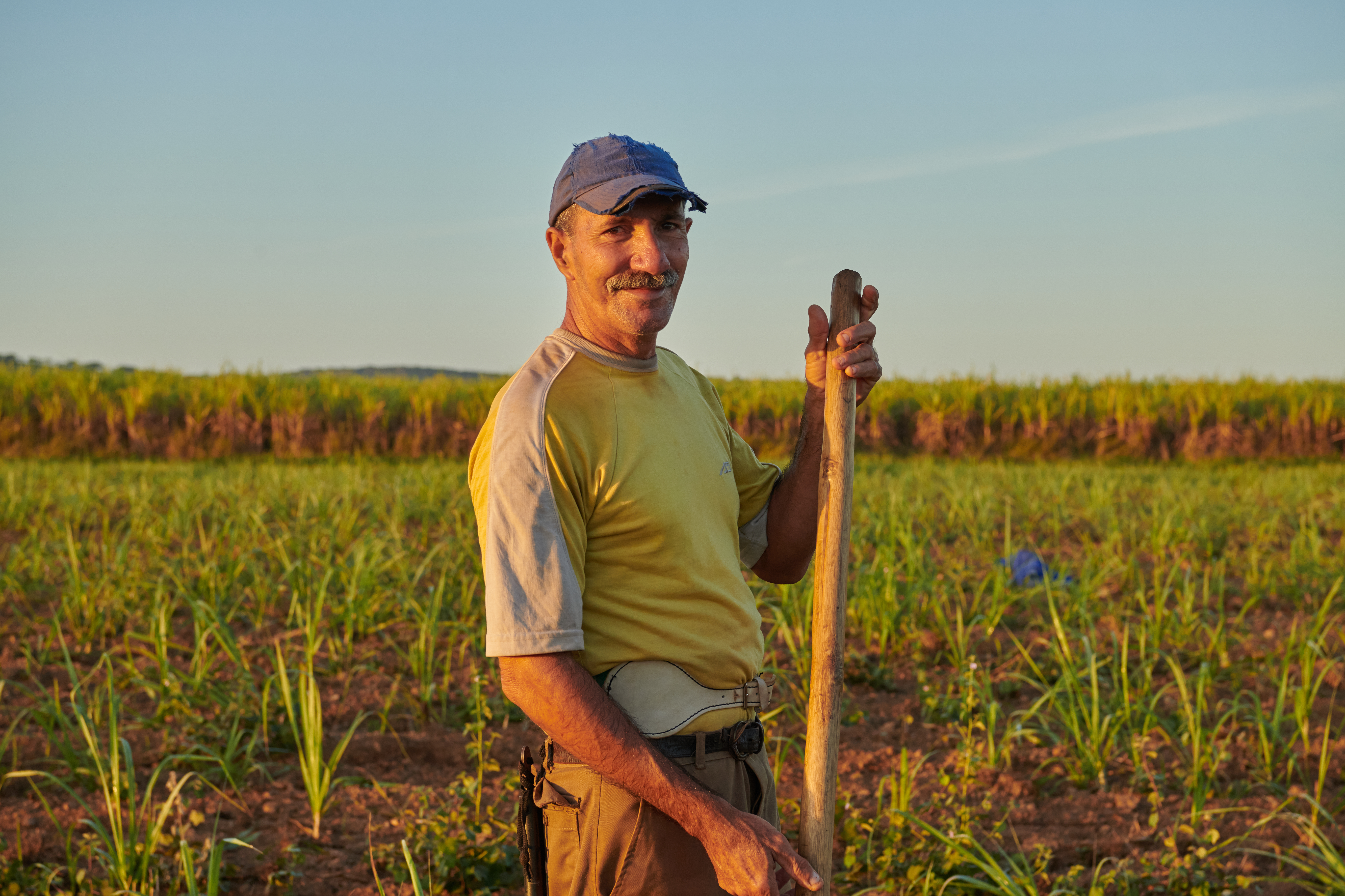 Sugar Programme: Better Labour Practices (Belize)