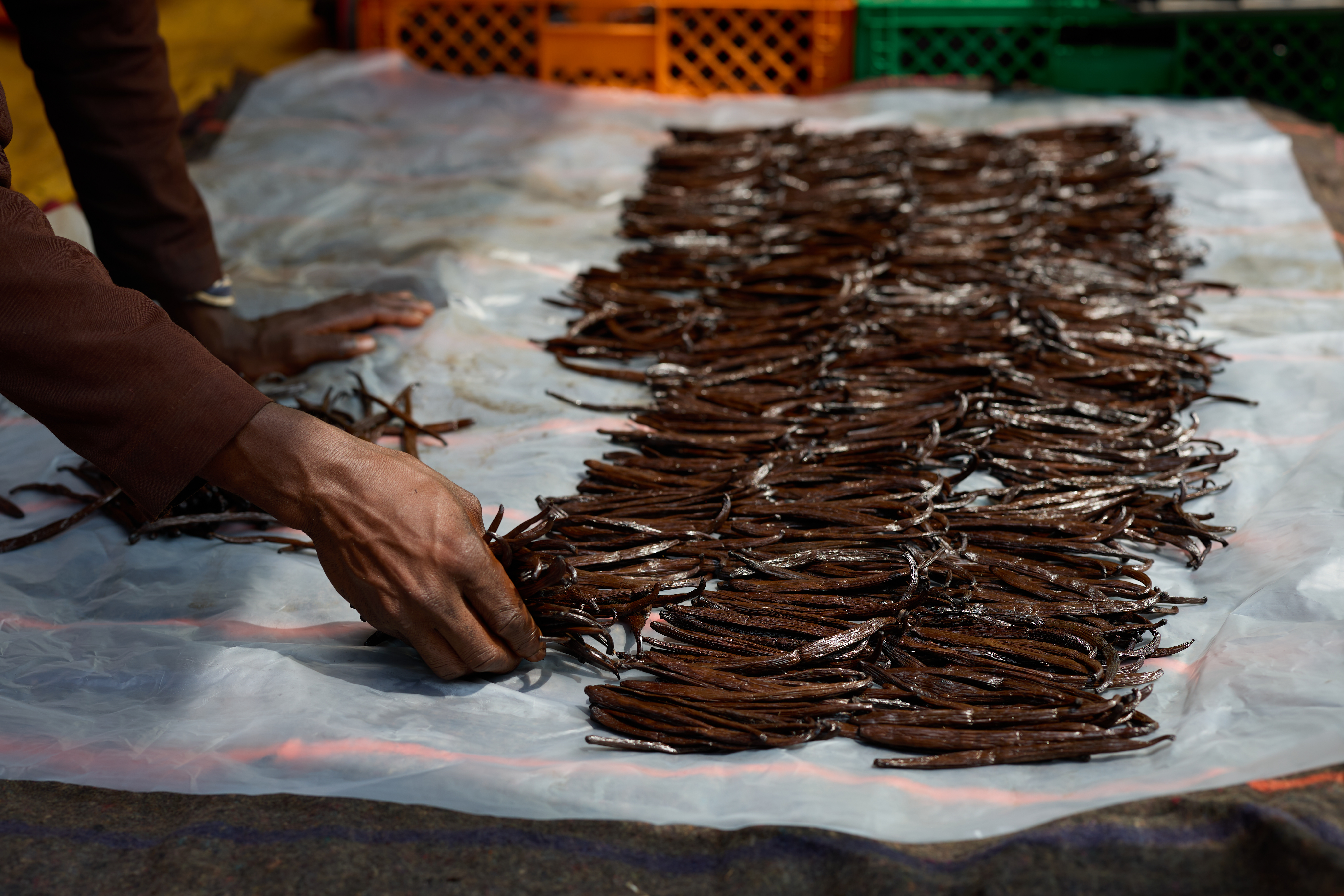 Understanding the Impact of the Fairtrade Minimum Price and Measuring Income for Vanilla Farmers in Madagascar