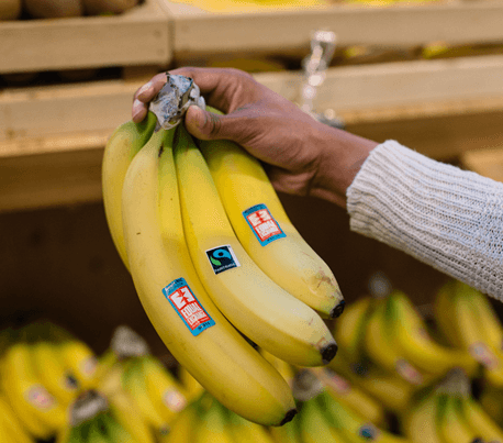 The FAIR Future Programme