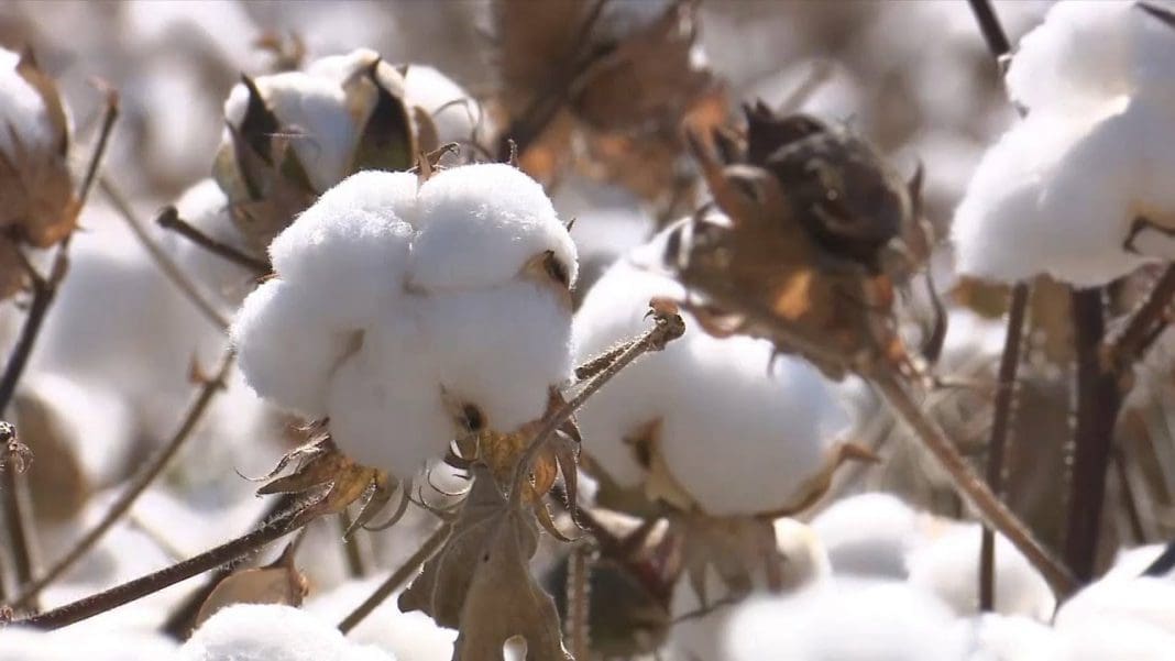 Textile Assessments in Ghana