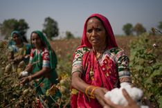 Pilot blending Fairtrade and recycled cotton